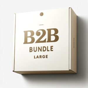 B2B-Bundle-Large-2.jpg
