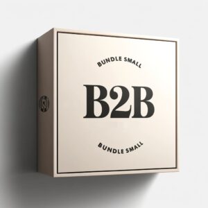 B2B-Bundle-Small-2.jpg