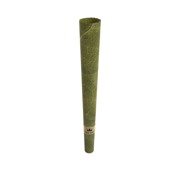 palm-cone-flavor-top-view.png